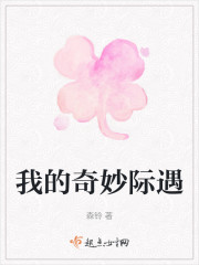 我的奇妙际遇" width="120" height="150"