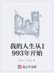 我的人生从1993年开始