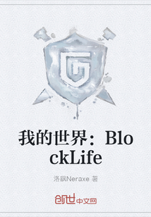 我的世界：BlockLife