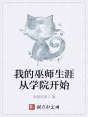 我的巫师生涯从学院开始