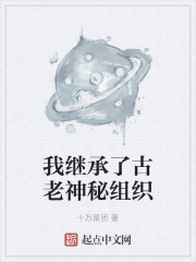 我继承了古老神秘组织