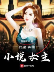 我老婆是小说女主" width="120" height="150"