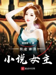 我老婆是小说女主