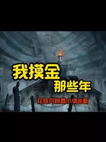 我摸金那些年" width="120" height="150"