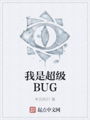 我是超级BUG