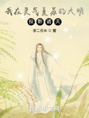 我在灵气复苏的大明投影诸天！" width="120" height="150"