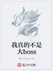 我真的不是大boss