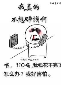 我真的不想赚钱啊