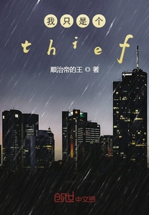 我只是个thief" width="120" height="150"