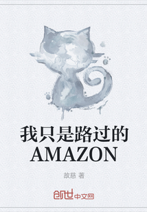 我只是路过的AMAZON