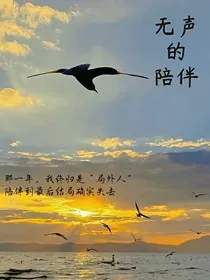 无声陪伴" width="120" height="150"