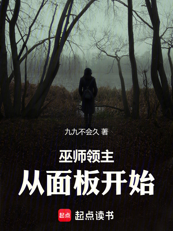 巫师领主：从面板开始" width="120" height="150"