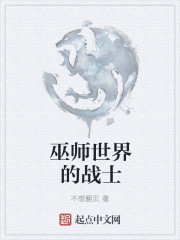 巫师世界的战士