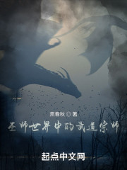 巫师世界中的武道宗师" width="120" height="150"