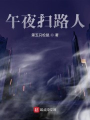 午夜扫路人