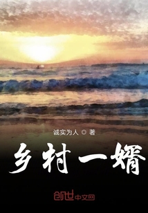 乡村一婿" width="120" height="150"