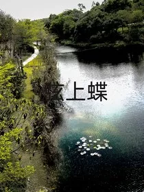 弦上蝶" width="120" height="150"