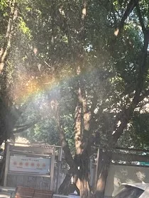 校草别太爱" width="120" height="150"