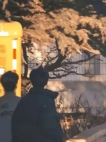 小明星竟是我竹马？！" width="120" height="150"