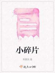 小碎片" width="120" height="150"