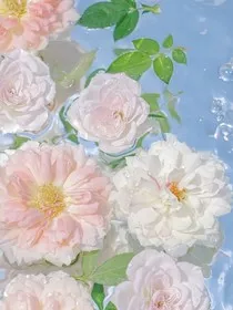夏日，鸢尾，青梅果" width="120" height="150"