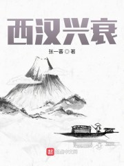西汉兴衰" width="120" height="150"