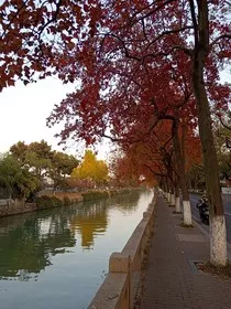 星际迷踪" width="120" height="150"