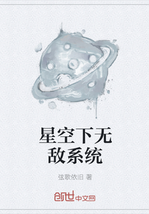 星空下无敌系统