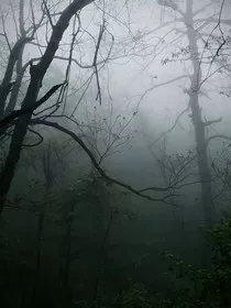 星学院：两个极端" width="120" height="150"