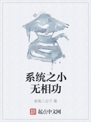 系统之小无相功" width="120" height="150"