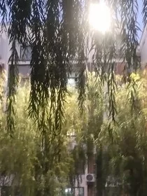 戏影烽烟" width="120" height="150"