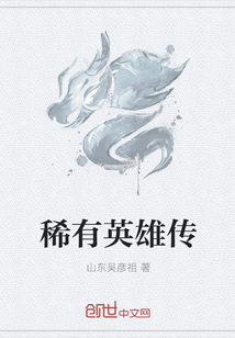 稀有英雄传" width="120" height="150"