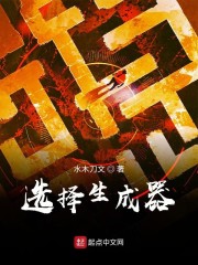 选择生成器" width="120" height="150"