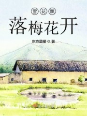 雪花飘落梅花开" width="120" height="150"