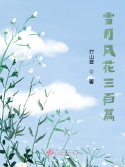 雪月风花三百篇" width="120" height="150"