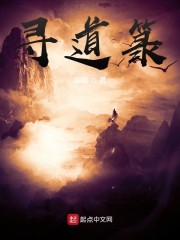 寻道箓" width="120" height="150"