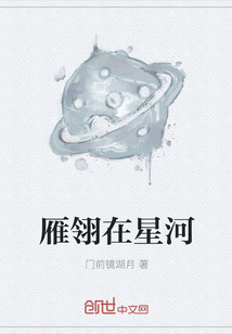 雁翎在星河