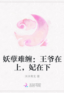 妖孽难缠：王爷在上，妃在下" width="120" height="150"