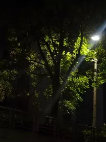叶罗丽精灵梦之众生" width="120" height="150"