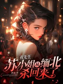 夜先生，苏小姐从缅北杀回来了" width="120" height="150"