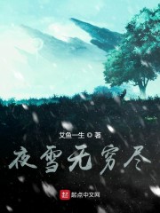 夜雪无穷尽