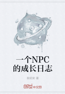 一个NPC的成长日志