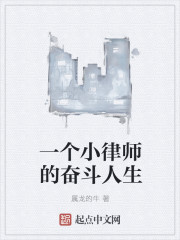 一个小律师的奋斗人生" width="120" height="150"