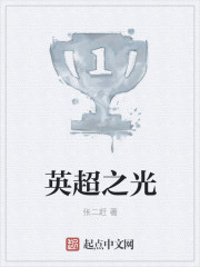 英超之光" width="120" height="150"