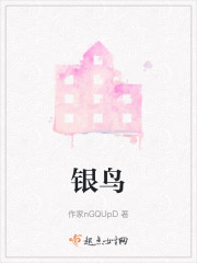 银鸟" width="120" height="150"