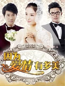 因为爱情有多美第三大集-d388" width="120" height="150"