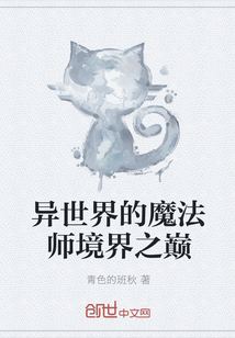 异世界的魔法师境界之巅