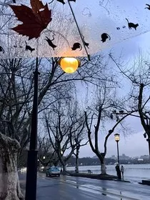 一万零一次雨季" width="120" height="150"