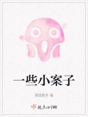 一些小案子" width="120" height="150"