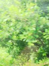 一隅光" width="120" height="150"